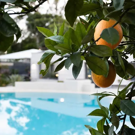Masetta - Luxury Konukevi 4*